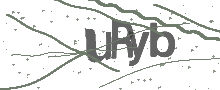 Captcha Bild